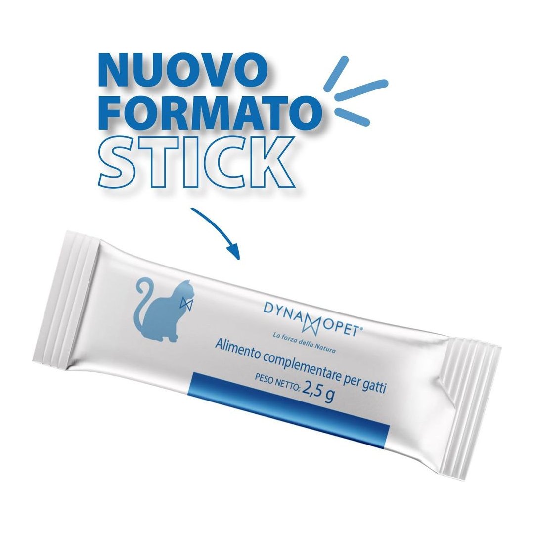 DYNAMOPET, produzione