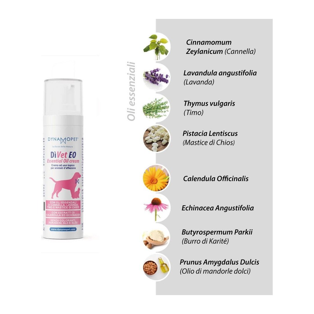 DYNAMOPET, produzione