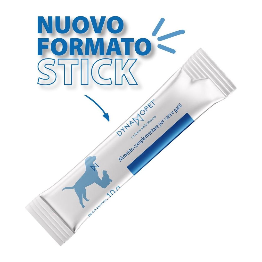 DYNAMOPET, produzione