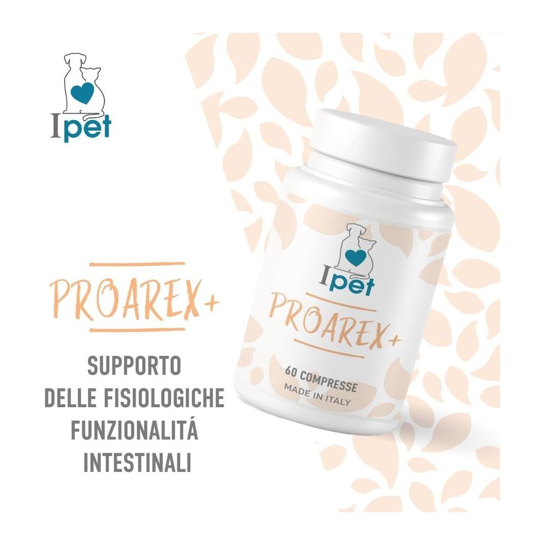 DYNAMOPET, produzione